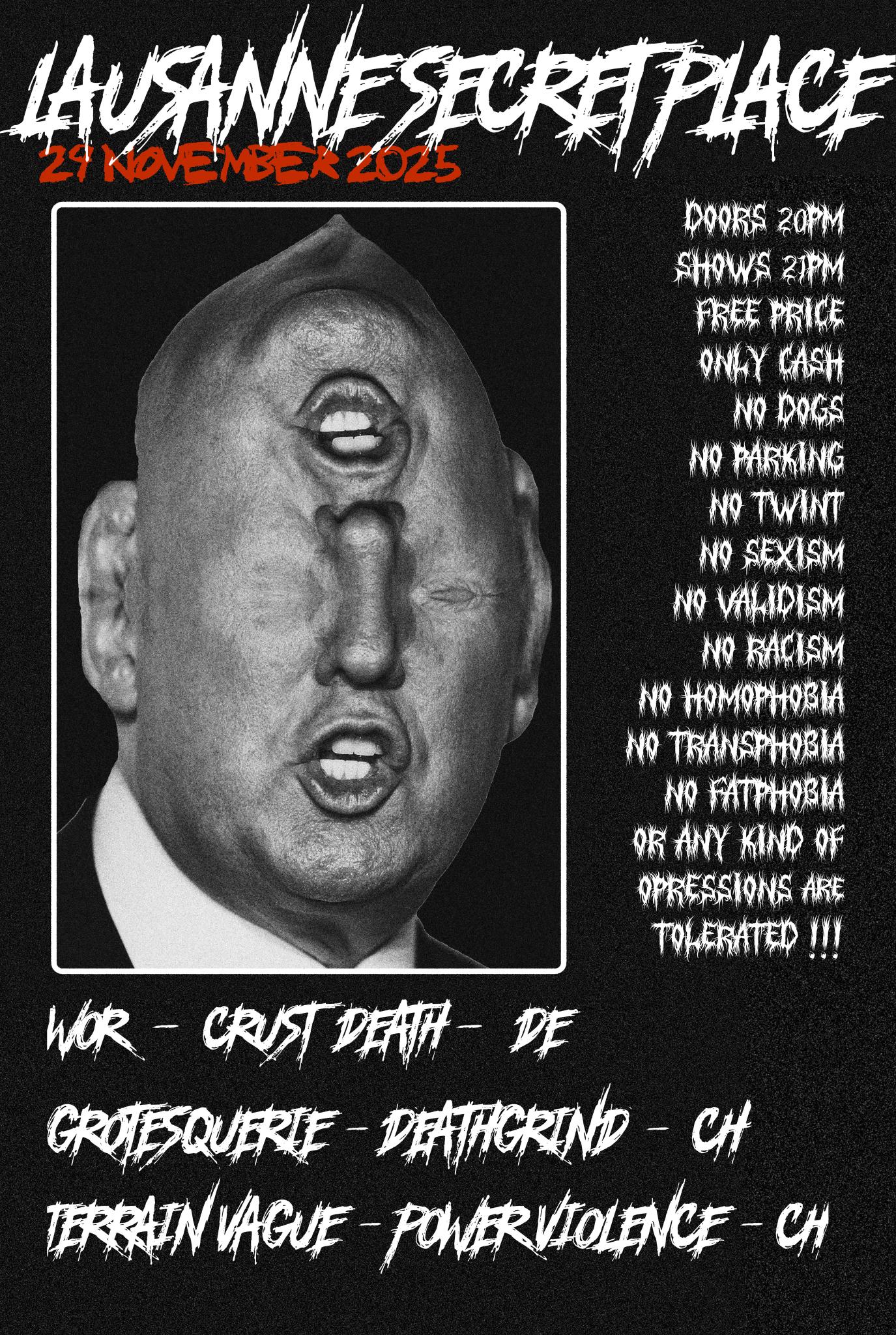 Konzertplakat Schattenparker